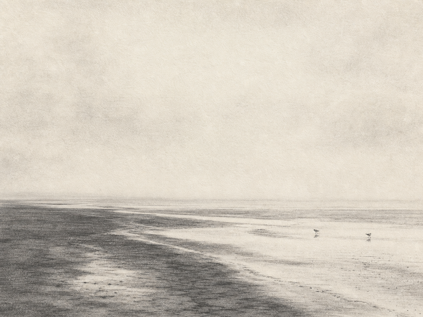 Monochrome graphite coastal landscape of low tide flats with two tiny shore birds and a nearly empty mist horizon.